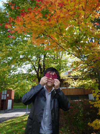 momiji.jpg